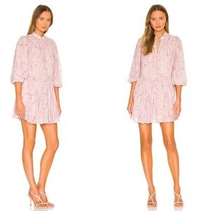 All Saints Isobella Freya Drop Waist Dress, Floral Mink Pink, 6